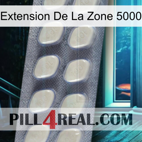 Exten Zone 5000 08